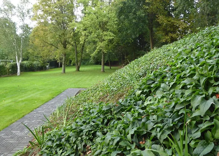 Oda ve Kahvaltı De Eppenbeek